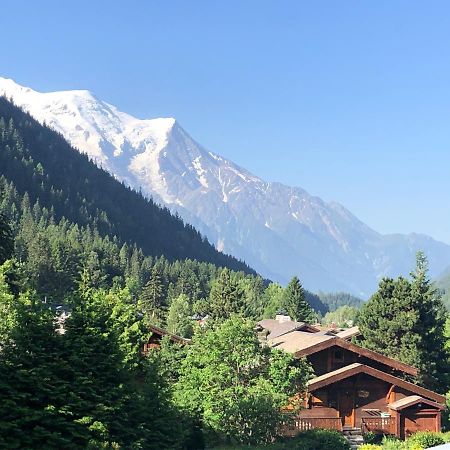 Residence La Verte 24- Aux Pieds Des Pistes! Chamonix Dış mekan fotoğraf