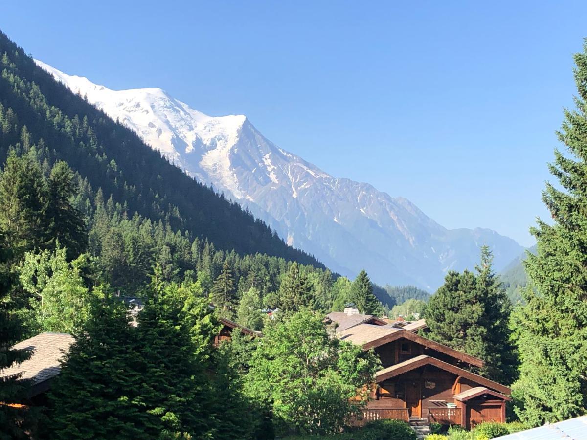 Residence La Verte 24- Aux Pieds Des Pistes! Chamonix Dış mekan fotoğraf